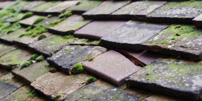 Great Easton roof repair costs
